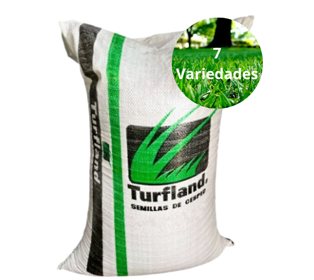 _Variedades
